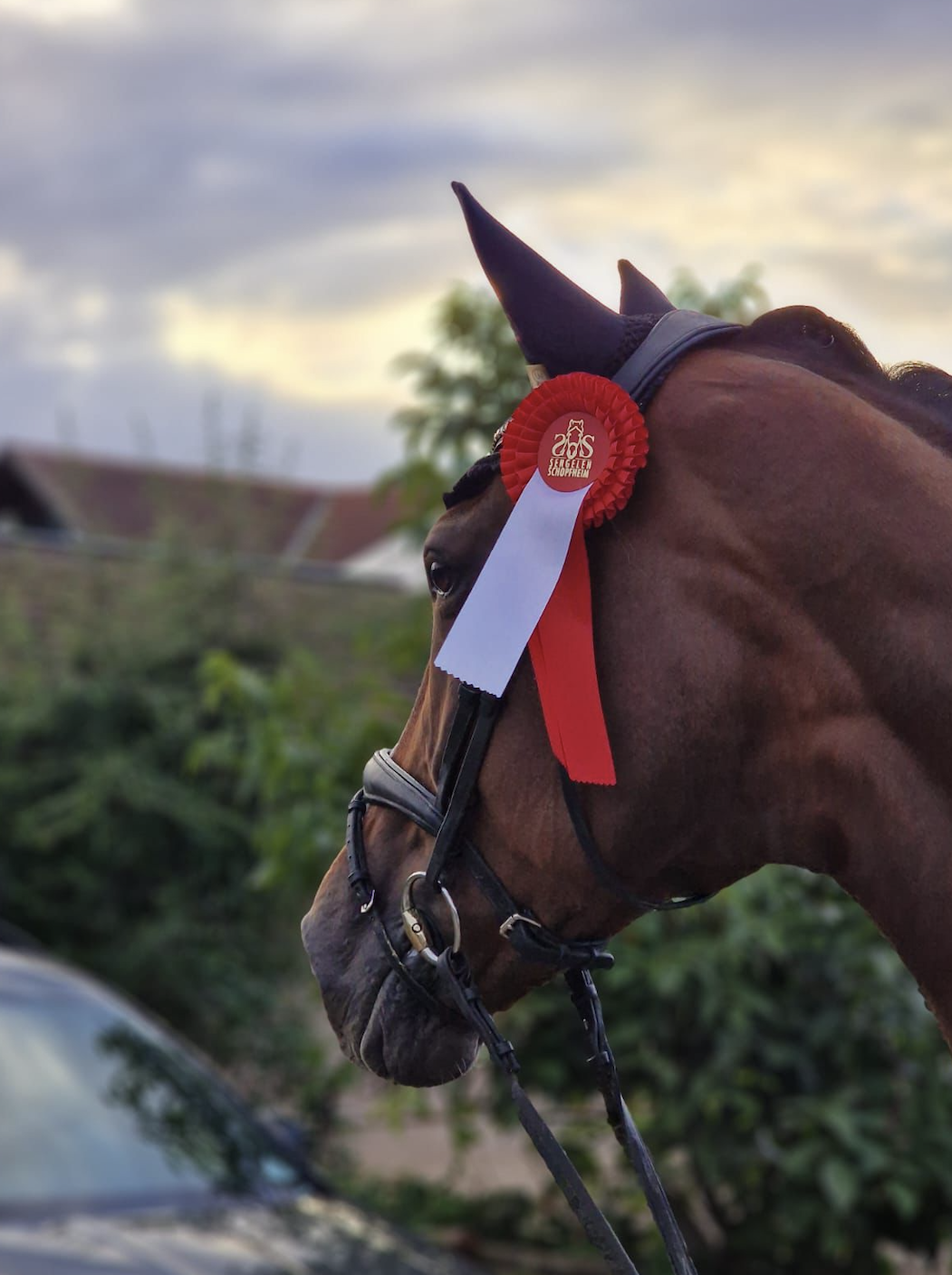 Bildschirmfoto 2024 10 07 um 14.03.09