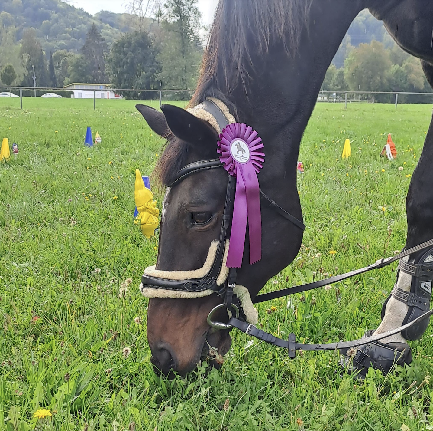 Bildschirmfoto 2024 10 07 um 14.08.51